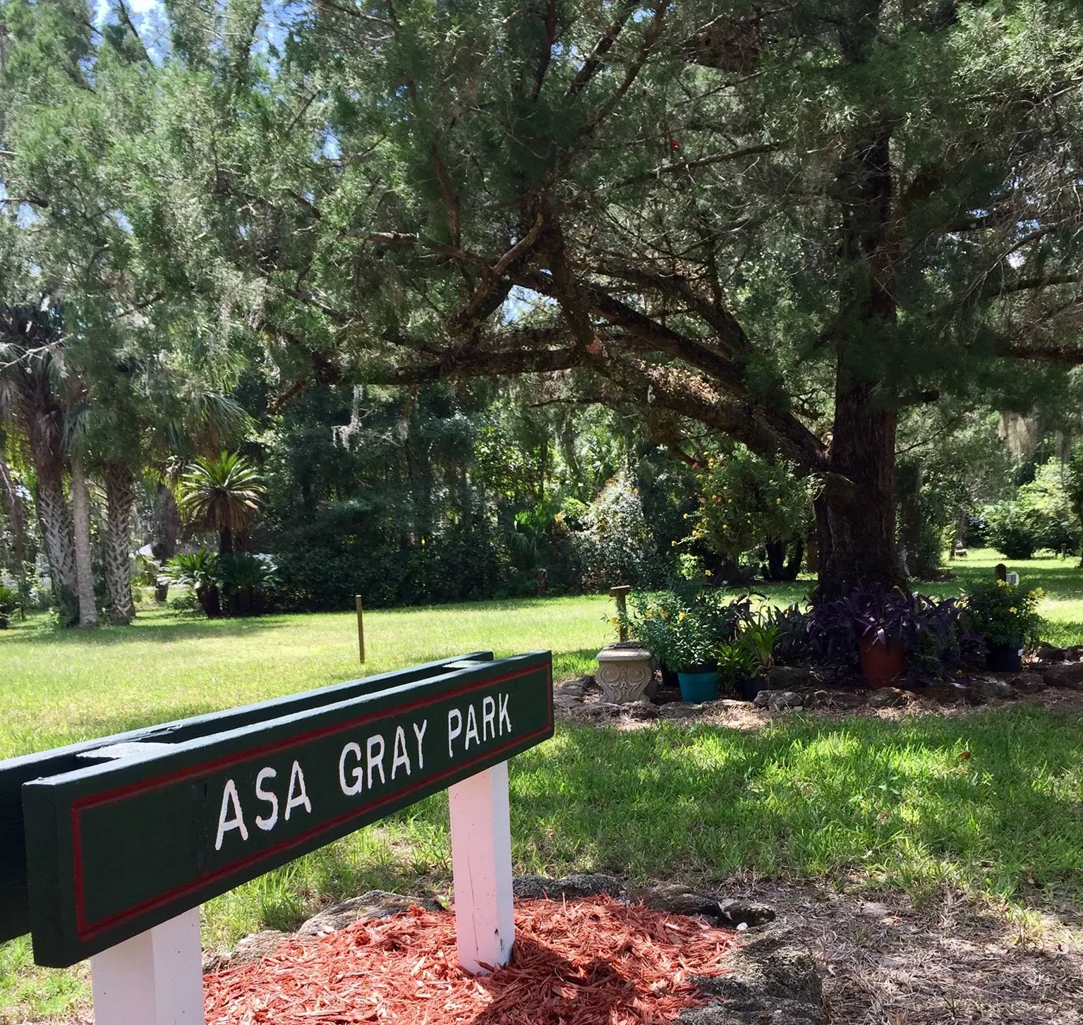 Asa Grey Park